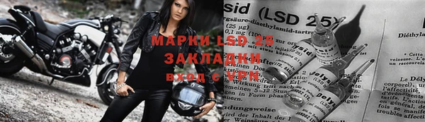 мдпв Касимов
